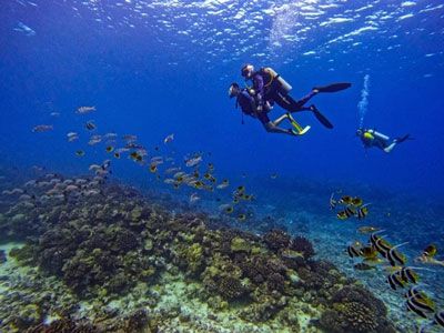 Formation de Plongée